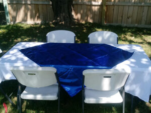 table linens 2 300x225