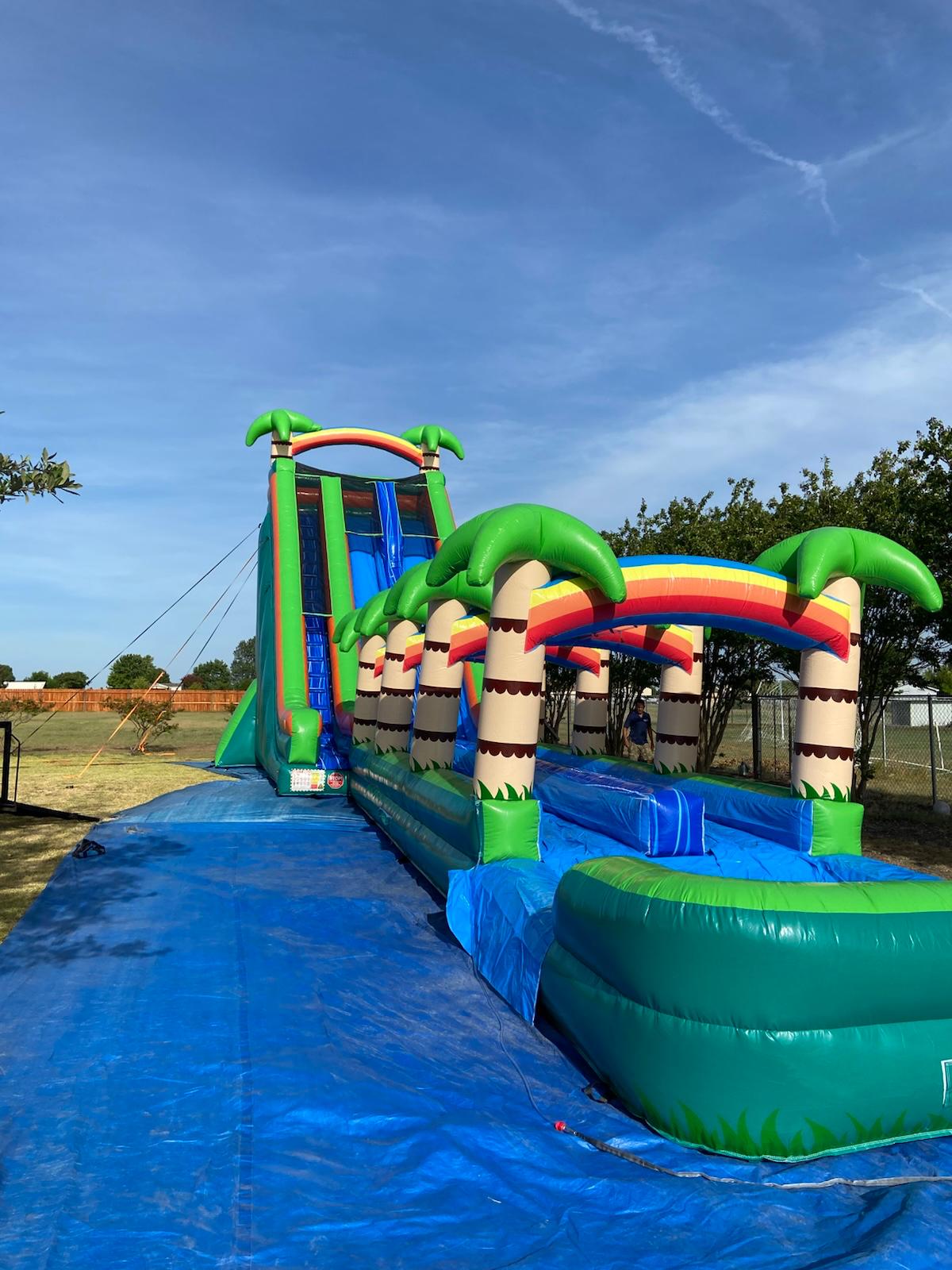 Giant palm tree 26’ft $595